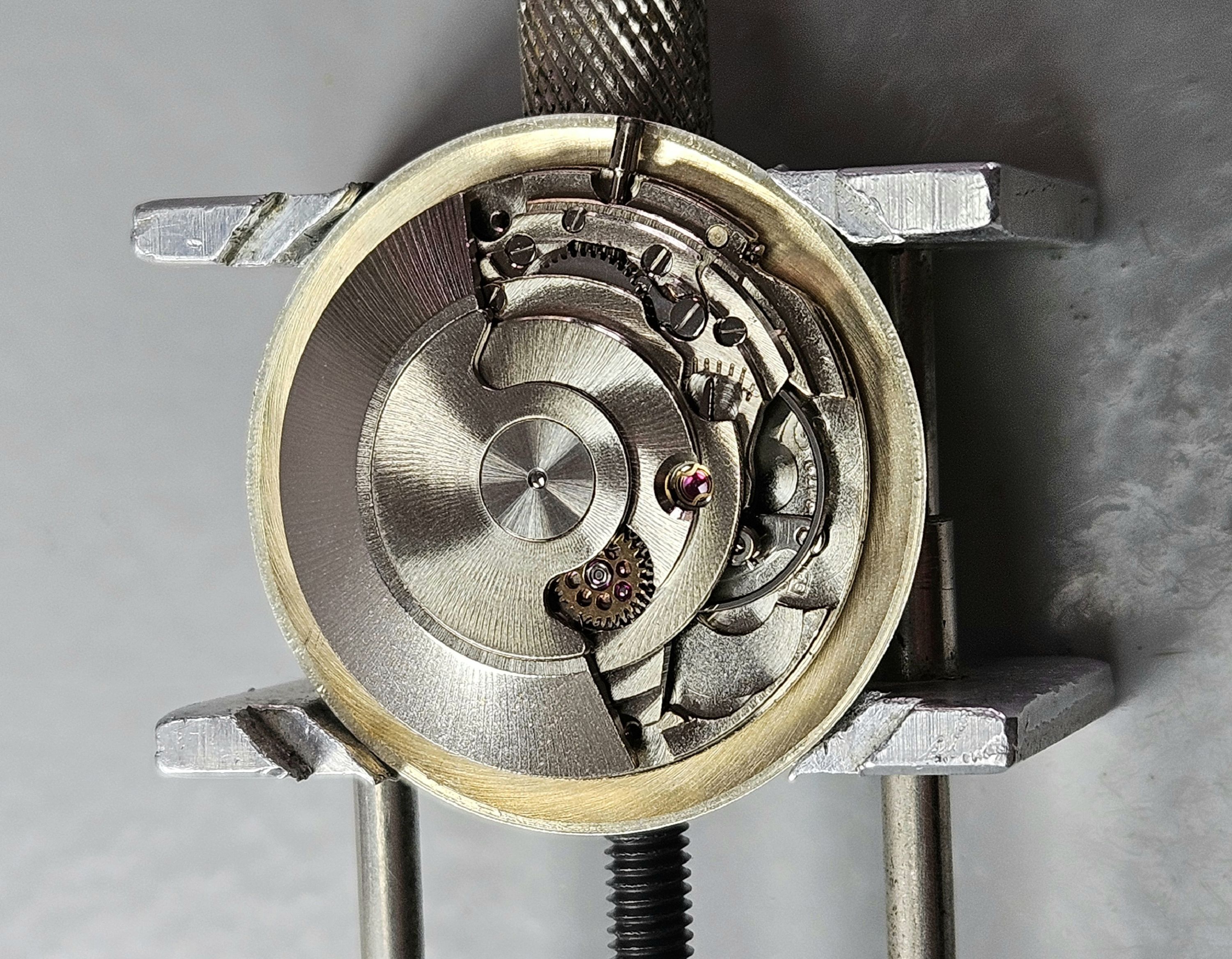 Provita Automatic 25 Rubis Monocomprex – ETA 2472